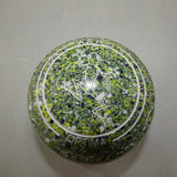 Aero Optima Size 4H Gecko