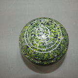 Aero Optima Size 4H Gecko