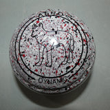 Aero Dynamic Size 4H Snow : Dingo