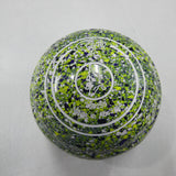 Aero Dynamic Size 4H Gecko : Crocodile